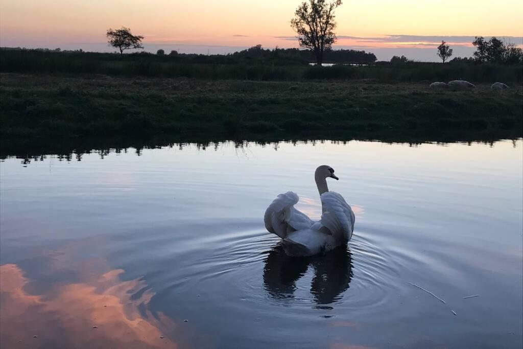 Romantic Dutch Hideaway Jisp エクステリア 写真
