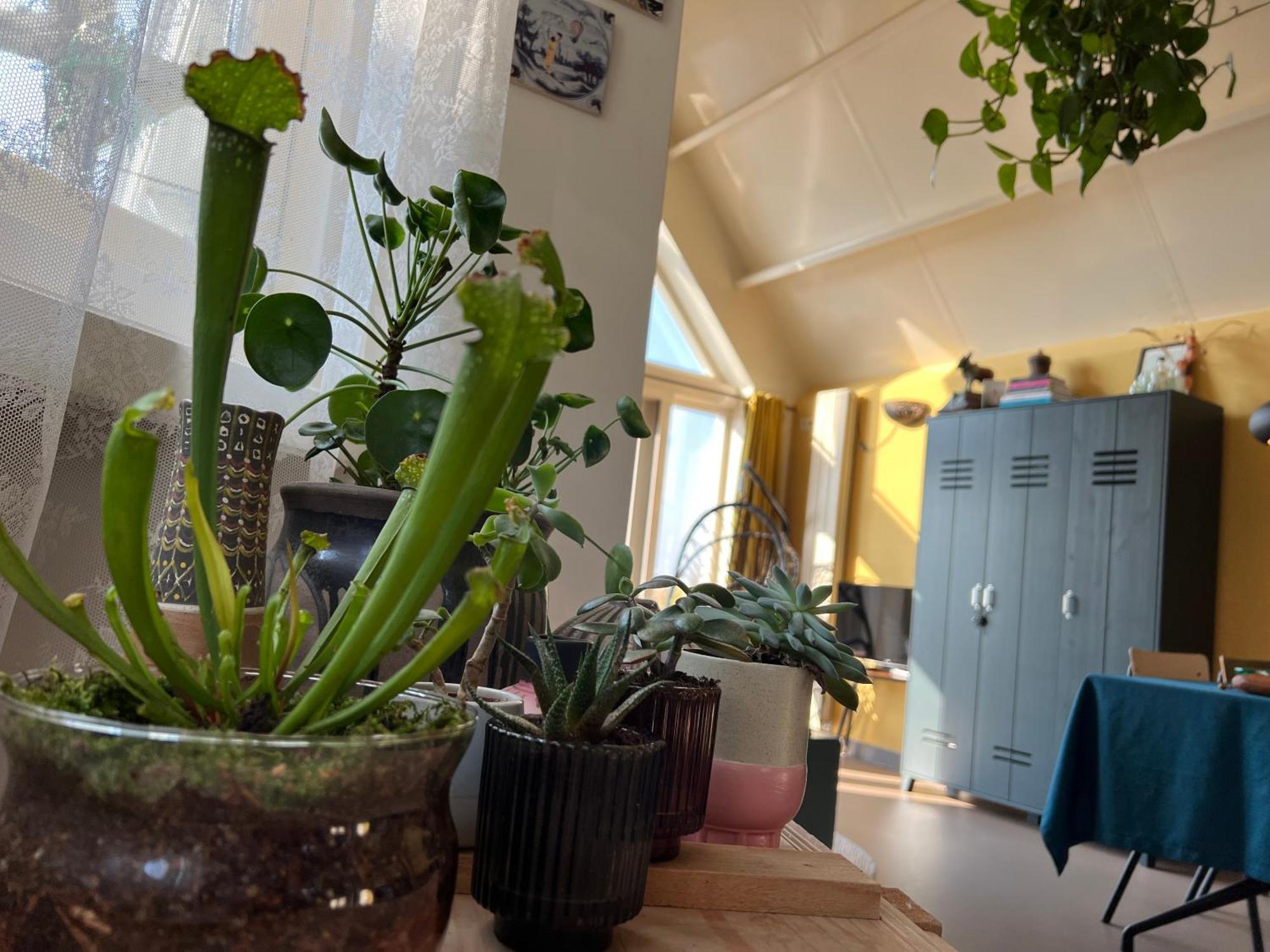 Romantic Dutch Hideaway Jisp エクステリア 写真
